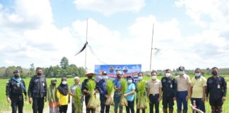 กิจกรรมดำนาลงแขก พหุวัฒนธรรม สร้างเสริมความสามัคคีในชุมชน