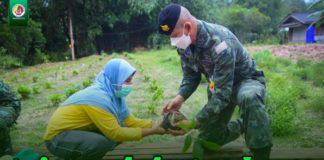 ร่วมใจปลูกสมุนไพรไทย ต้านภัยโควิด-19 ขับเคลื่อนงานตามโครงการอันเนื่องมาจากพระราชดำริ ในพื้นที่ อำเภอสะบ้าย้อย จังหวัดสงขลา