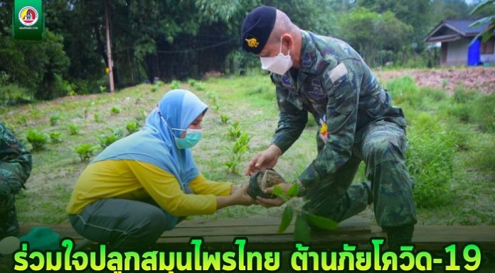 ร่วมใจปลูกสมุนไพรไทย ต้านภัยโควิด-19 ขับเคลื่อนงานตามโครงการอันเนื่องมาจากพระราชดำริ ในพื้นที่ อำเภอสะบ้าย้อย จังหวัดสงขลา