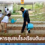 ร่วมแรงร่วมใจพัฒนาพื้นที่แปลงเกษตรของโรงเรียนบ้านตาชี ขับเคลื่อนโครงการ “อาหารชุมชนโรงเรียนต้นแบบ”