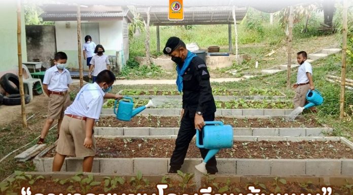 ร่วมแรงร่วมใจพัฒนาพื้นที่แปลงเกษตรของโรงเรียนบ้านตาชี ขับเคลื่อนโครงการ “อาหารชุมชนโรงเรียนต้นแบบ”