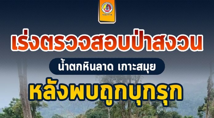 เร่งตรวจสอบป่าสงวนน้ำตกหินลาด เกาะสมุย หลังพบถูกบุกรุก ตัดไม้ นำไม้ผลเข้ามาปลูก หวังยึดครองใช้ประโยชน์