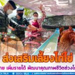 “ส่งเสริมเลี้ยงไก่ไข่ ลดรายจ่าย เพิ่มรายได้ พัฒนาคุณภาพชีวิตช่วงโควิด-19”