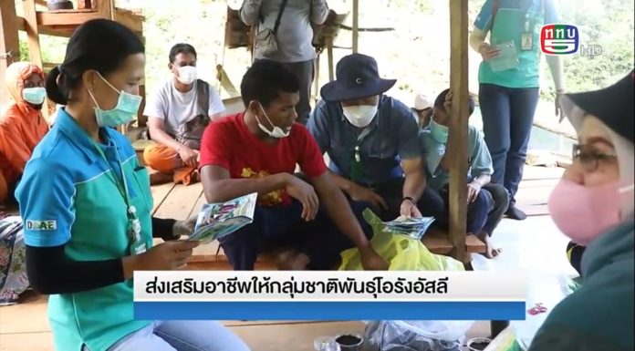 ติดตามชมรายงาน สันติสุขที่ปลายด้ามขวาน ตอน ส่งเสริมอาชีพให้กลุ่มชาติพันธุ์โอรังอัสลี ออกอากาศเมื่อวันที่ 3 กุมภาพันธ์ 2565 ทาง ททบ.5 HD