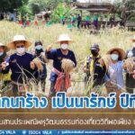 แม่ทัพภาคที่ 4 เปิดกิจกรรมเกี่ยวข้าว สืบสานประเพณีพหุวัฒนธรรมท่องเที่ยววิถีพอเพียง นาทวีโมเดล “พลิกนาร้าง เป็นนารักษ์ ปีที่ 4” เสริมสร้างความเข้มแข็งสู่ชุมชน