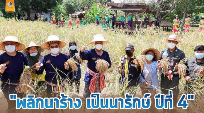 แม่ทัพภาคที่ 4 เปิดกิจกรรมเกี่ยวข้าว สืบสานประเพณีพหุวัฒนธรรมท่องเที่ยววิถีพอเพียง นาทวีโมเดล “พลิกนาร้าง เป็นนารักษ์ ปีที่ 4” เสริมสร้างความเข้มแข็งสู่ชุมชน