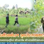 ฟาร์มตัวอย่างฯ จุดประกายชาวบ้าน เกษตรทฤษฎีใหม่ สร้างอาชีพ สร้างรายได้ด้วยตนเอง