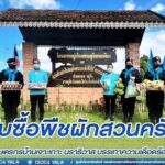 รับซื้อพืชผักสวนครัวจากกลุ่มเกษตรกรบ้านเจาะเกาะ นราธิวาส บรรเทาความเดือดร้อนช่วยเหลือเกษตรกรในพื้นที่