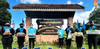 รับซื้อพืชผักสวนครัวจากกลุ่มเกษตรกรบ้านเจาะเกาะ นราธิวาส บรรเทาความเดือดร้อนช่วยเหลือเกษตรกรในพื้นที่