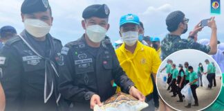 ทหารพราน 42 ร่วมกิจกรรมวันทะเลโลก (World Oceans Day 2022) “รวมพลังฟื้นฟู กอบกู้ มหาสมุทร” 8 มิถุนายน 2565