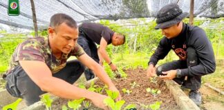 ร่วมใจพัฒนาศูนย์การเรียนรู้เศรษฐกิจพอเพียง ในศูนย์แรกรับชุมชนบำบัดแก้ไขปัญหายาเสพติด (CBTX)