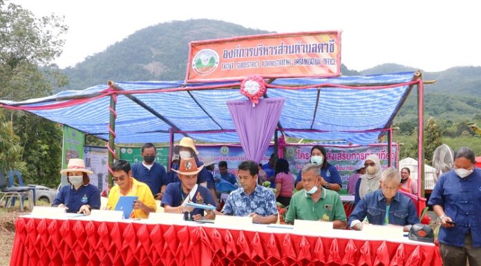 จังหวัดยะลาเปิดฤดูกาลเก็บเกี่ยวทุเรียนสะเด็ดน้ำมีดแรก และการประกวดทุเรียนพันธุ์พื้นเมืองจังหวัดยะลา ประจำปี 2565 เดินหน้ากระตุ้นเศรษฐกิจชายแดนใต้