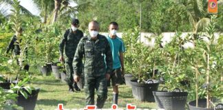 ส่งเสริมกำลังพล เรียนรู้ตามแนวทางปรัชญาเศรษฐกิจพอเพียง ณ ศูนย์เกษตรทฤษฎีใหม่ครบวงจร กองพลทหารราบที่ 15 ค่ายสมเด็จพระสุริโยทัย จ.ปัตตานี