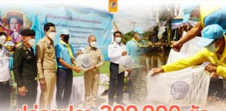 จังหวัดยะลา ปล่อยปลา 300,000 ตัว ถวายเป็นพระราชกุศล สมเด็จพระนางเจ้าสิริกิติ์ พระบรมราชินีนาถ พระบรมราชชนนีพันปีหลวง