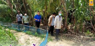 ส่งเสริมเลี้ยงปลาสลิดดอนนา อาชีพทางเลือกสร้างรายได้ให้เป็นสัตว์เศรษฐกิจ สร้างแบรนด์เฉพาะของจังหวัดปัตตานี