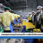 สันติสุขที่ปลายด้ามขวาน ตอน เกษตรอุตสาหกรรมอำเภอหนองจิก ทางเลือกสำหรับเกษตรกร