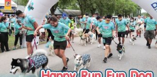 กิจกรรม เดิน-วิ่งการกุศล Happy Run Fun Dog ครั้งที่ 3 เพื่อสุนัขจรจัด