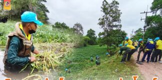 จิตอาสาบำเพ็ญสาธารณประโยชน์ ผนึกกำลัง กำจัดผักตบชวา เปิดช่องทางระบายน้ำ