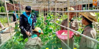 ติดตามการขยายผลตาม โครงการ “อาหารชุมชนโรงเรียนต้นแบบ” จากโรงเรียนพี่สู่โรงเรียนน้อง เพื่อเสริมสร้างแหล่งอาหารกลางวันในโรงเรียน