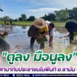 ทหารพราน 41 ร่วมกิจกรรม “ตูลง มือนูลง” ลงแขกดำนากับประชาชนในพื้นที่ อำเภอรามัน จังหวัดยะลา