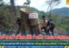 เจ้าหน้าที่สนธิกำลัง ตรวจสอบ ป่าสงวนแห่งชาติ เขานางจันทร์ หลังถูกลักลอบตัดไม้ ทำลายป่า ไม่พบผู้กระทำผิด