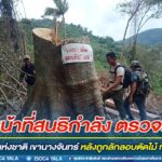 เจ้าหน้าที่สนธิกำลัง ตรวจสอบ ป่าสงวนแห่งชาติ เขานางจันทร์ หลังถูกลักลอบตัดไม้ ทำลายป่า ไม่พบผู้กระทำผิด