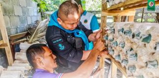 โครงการเกษตรชุมชนตามหลักปรัชญาเศรษฐกิจพอเพียง เน้นให้ประชาชนพึ่งพาตนเอง พัฒนาต่อยอดในอนาคต