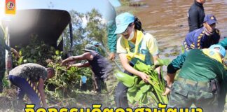 กิจกรรมจิตอาสาพัฒนา เนื่องในวันคล้ายวันสวรรคต พระบาทสมเด็จพระบรมชนกาธิเบศร มหาภูมิพลอดุลยเดชมหาราช บรมนาถบพิตร