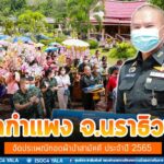 วัดกำแพง จ.นราธิวาส จัดประเพณีทอดผ้าป่าสามัคคี ประจำปี 2565 พุทธศาสนิกชนเข้าร่วมพิธีเป็นจำนวนมาก