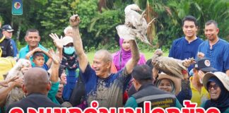 กิจกรรม ลงแขกดำนาปลูกข้าว สืบสานวิถีพหุวัฒนธรรม ส่งเสริมภูมิปัญญาท้องถิ่น ตามหลักปรัชญาเศรษฐกิจพอเพียง