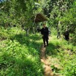 เจ้าหน้าที่ติดตามบังคับใช้กฎหมายผู้ก่อเหตุรุนแรงลอบยิงคนหาของป่าและลอบวางระเบิดเจ้าหน้าที่ในอำเภอจะแนะ จังหวัดนราธิวาส