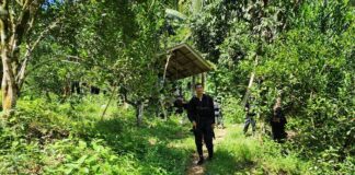 เจ้าหน้าที่ติดตามบังคับใช้กฎหมายผู้ก่อเหตุรุนแรงลอบยิงคนหาของป่าและลอบวางระเบิดเจ้าหน้าที่ในอำเภอจะแนะ จังหวัดนราธิวาส