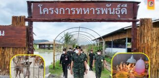 เยี่ยมน้องสุนัข (จรจัด) แวะแลฟาร์มไก่ (เบตง)