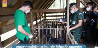 คณะจากศูนย์วิจัยและพัฒนาสัตว์เคี้ยวเอื้องขนาดเล็ก ลงพื้นที่ให้คำแนะนำและตรวจสอบสภาพการเลี้ยงแพะพระราชทาน ตามโครงการทหารพันธุ์ดี กรมทหารราบที่ 152