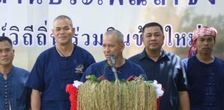 ประเพณี “ลาซัง” ลงแขกเกี่ยวข้าว รักษ์วิถีถิ่น ร่วมกินข้าวใหม่ อำเภอระแงะ จังหวัดนราธิวาส ส่งเสริมความรักความสามัคคี เพื่อการฟื้นฟู รักษาประเพณีอันสวยงามให้คงอยู่สืบไป