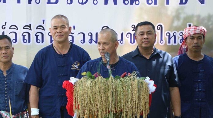 ประเพณี “ลาซัง” ลงแขกเกี่ยวข้าว รักษ์วิถีถิ่น ร่วมกินข้าวใหม่ อำเภอระแงะ จังหวัดนราธิวาส ส่งเสริมความรักความสามัคคี เพื่อการฟื้นฟู รักษาประเพณีอันสวยงามให้คงอยู่สืบไป