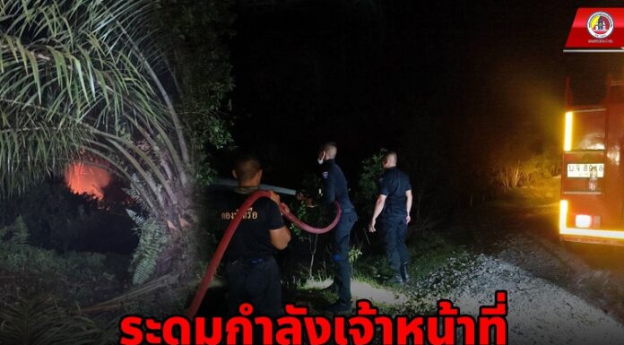 ระดมกำลังเจ้าหน้าที่ เร่งดับไฟไหม้ป่าพรุบาเจาะ จ.นราธิวาส