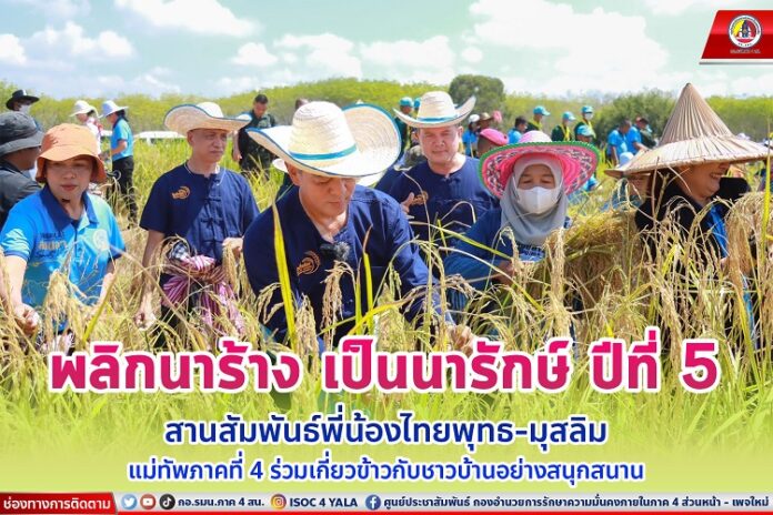 72.พลิกนาร้าง