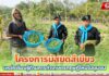 โครงการมัสยิดสีเขียว แหล่งเรียนรู้ด้านการทำเกษตรทฤษฎีใหม่ในชุมชน