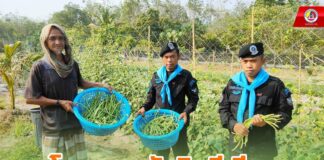 โครงการมัสยิดสีเขียว แหล่งเรียนรู้ด้านการทำเกษตรทฤษฎีใหม่ในชุมชน