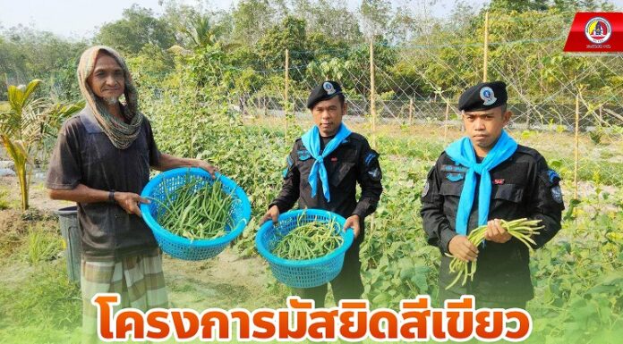 โครงการมัสยิดสีเขียว แหล่งเรียนรู้ด้านการทำเกษตรทฤษฎีใหม่ในชุมชน