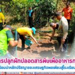 โครงการปลูกผักปลอดสารพิษเพื่ออาหารกลางวัน น้อมนำหลักปรัชญาของเศรษฐกิจพอเพียงสู่โรงเรียน