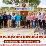 โครงการอนุรักษ์สายพันธุ์ม้าพื้นเมือง อำเภอทุ่งยางแดง ครั้งที่ 10 ประจำปี 2566