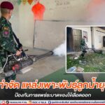 ทหารหมวกแดง ร่วมกำจัด แหล่งเพาะพันธุ์ลูกน้ำยุงลาย ป้องกันการแพร่ระบาดของไข้เลือดออก