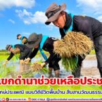 ทหารพราน 20 ลงแขกดำนาช่วยเหลือประชาชน