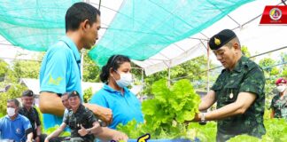 แหล่งสร้างงานสร้างโอกาสให้กับพี่น้องประชาชน ขับเคลื่อนอย่างสมพระเกียรติ พึ่งตนเองได้อย่างยั่งยืน ฟาร์มตัวอย่างธารโต เสริมแนวคิดนำคนรุ่นใหม่เข้าร่วมโครงการ ต่อยอดการเรียนรู้ สร้างงานสร้างอาชีพ