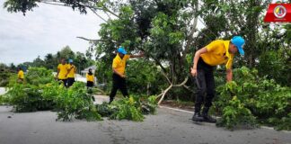 จิตอาสาบำเพ็ญสาธารณประโยชน์ เพื่อถวายเป็นพระราชกุศล เนื่องในโอกาสวันเฉลิมพระชนมพรรษา สมเด็จพระนางเจ้าสุทิดา พัชรสุธาพิมลลักษณ พระบรมราชินี