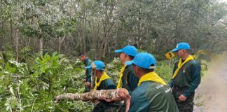 ทหารค่ายลพบุรีราเมศวร์เร่งเข้าช่วยเหลือประชาชน เนื่องจากฝนฟ้าคะนอง มีลมแรงทำให้ต้นไม้ล้มขวางถนนเส้นทางจราจรในพื้นที่ เทพา-วังใหญ่ จ.สงขลา