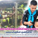 ทหารพราน 41 ติดตามโครงการไก่ดำพระราชทาน “กองสานใจสู่สันติ ศูนย์สันติวิธี” พร้อมขับเคลื่อนโครงการเกศาสานใจ เชื่อมรักสานสัมพันธ์