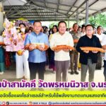 ทอดผ้าป่าสามัคคี วัดพรหมนิวาส จ.นราธิวาส เพื่อจัดซื้อแผงโซล่าเซลล์สำหรับใช้พลังงานทดแทนแสงอาทิตย์